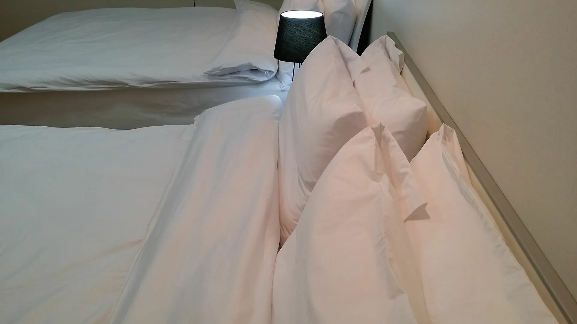 Incheon Airport Best Residence House 2*,